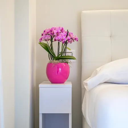 Turrini Apartment *