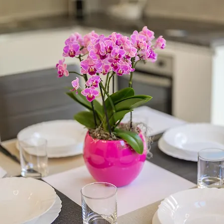 Turrini Apartment *